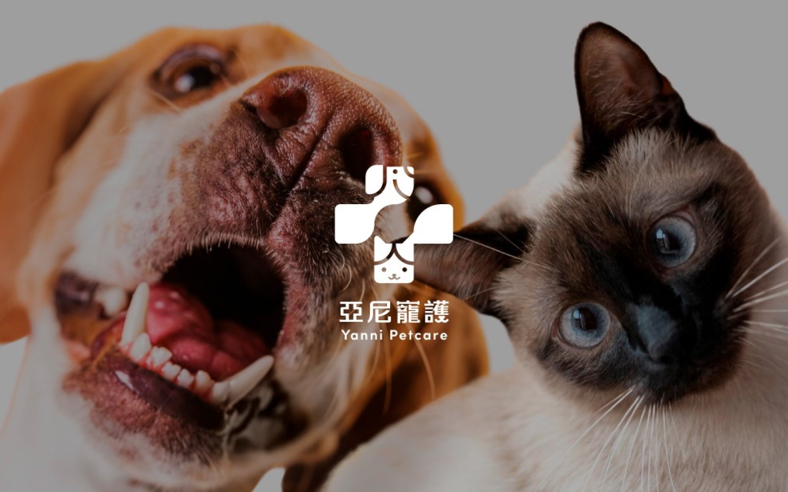 亞尼寵護 — 寵物保健品牌識別（1/2）